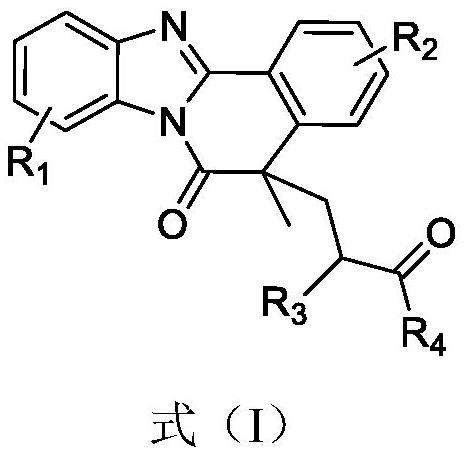 Benzo [4, 5] imidazo [2, 1-a] isoquinoline-6 (5H)-ketone and derivative and preparation method thereof