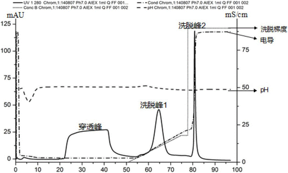 Separation and purification method of microbial transglutaminase