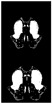 Brain slice image region division method and device