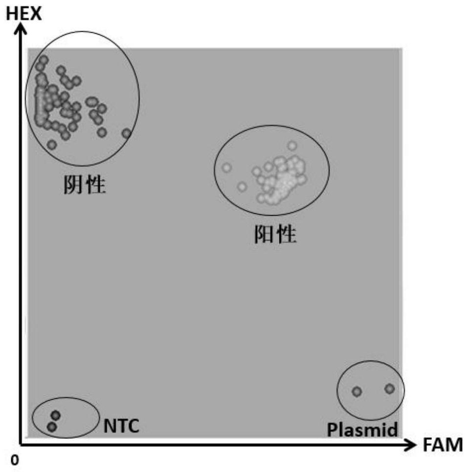 A high-throughput method for screening and detecting transgenic elements