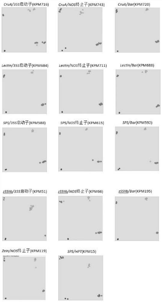 A high-throughput method for screening and detecting transgenic elements