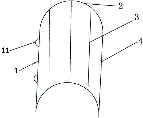 Young pinctada maxima breeding method and device