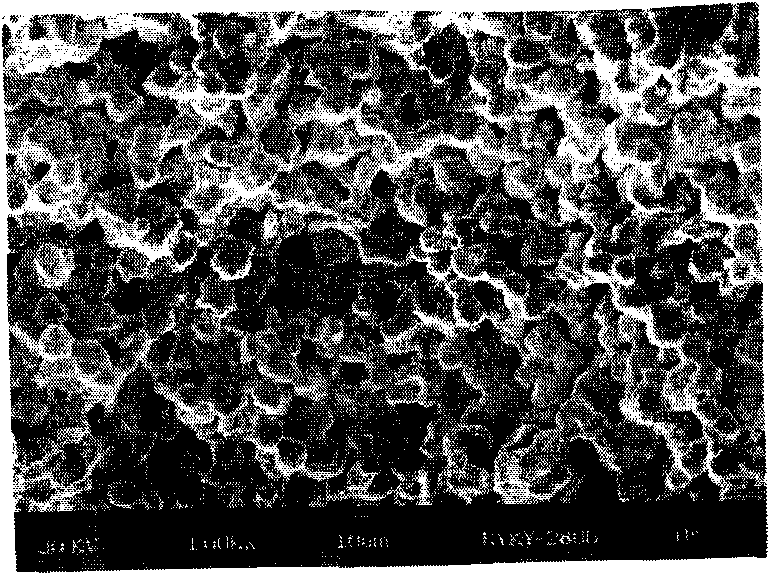 Method for preparing impregnated cathode matrix