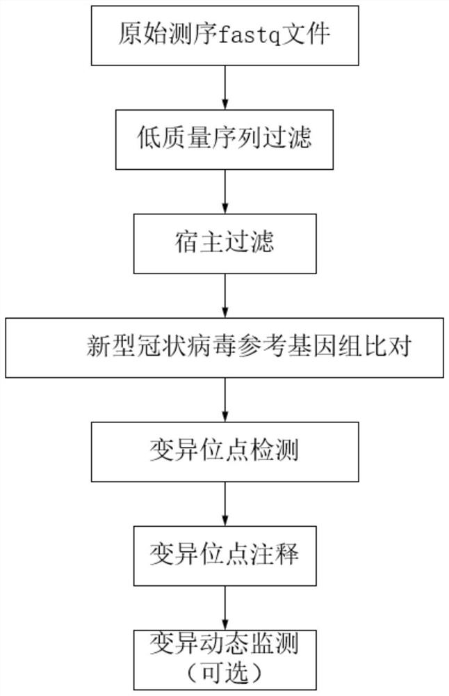 Novel coronavirus mutation analysis method and application