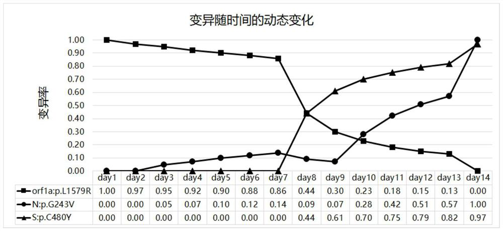 Novel coronavirus mutation analysis method and application