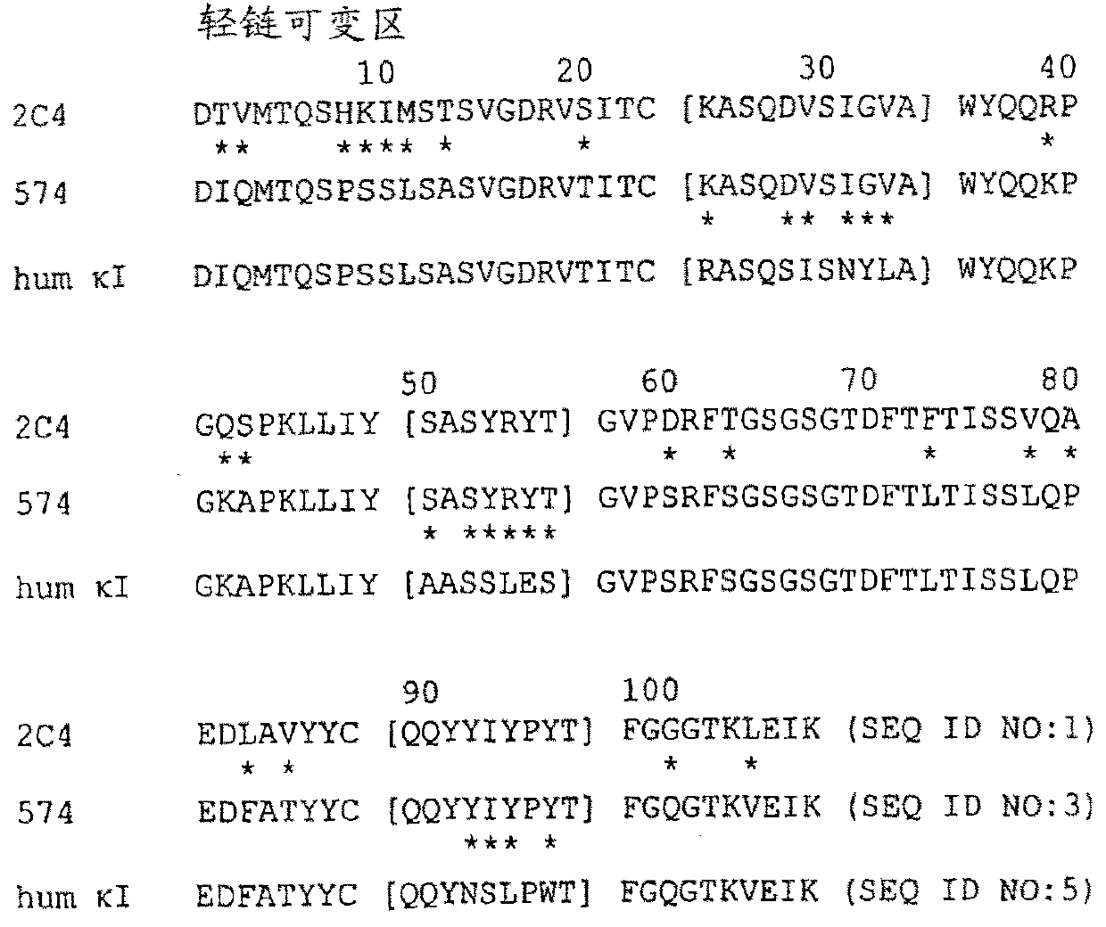 HER2 antibody composition