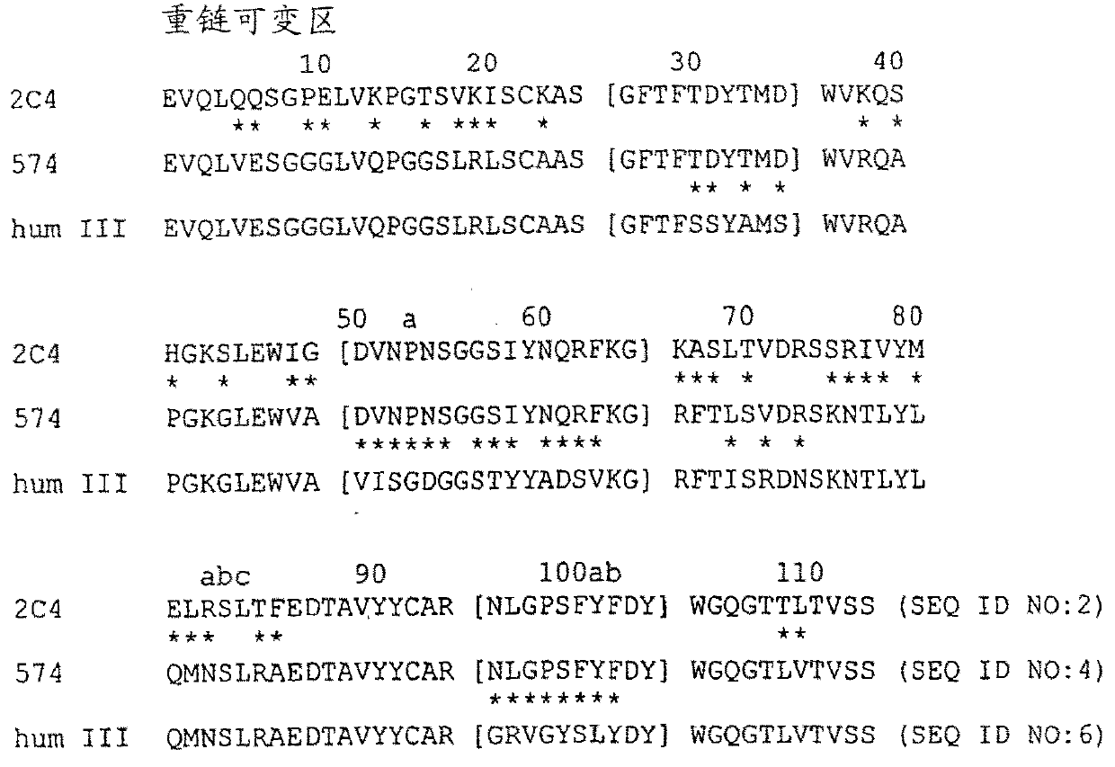 HER2 antibody composition