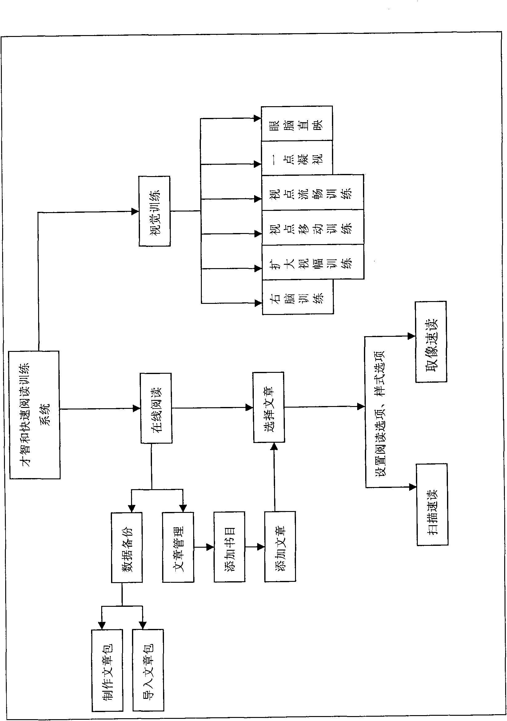 Whole brain reading system