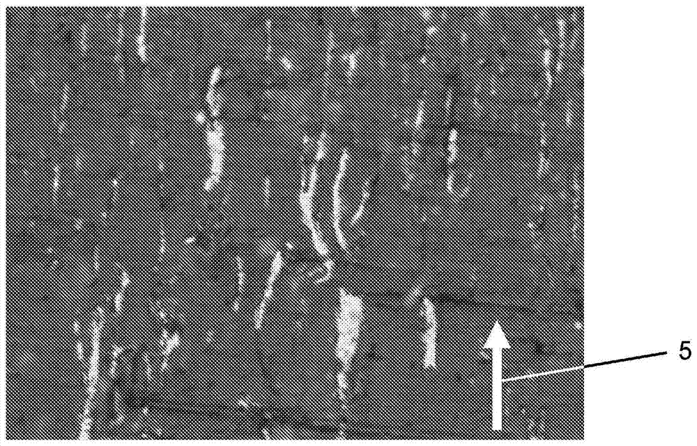 Battery electrode coating film composition or separator coating film composition, battery electrode or separator having a coating film obtained using the coating film composition, and battery having the battery electrode or separator