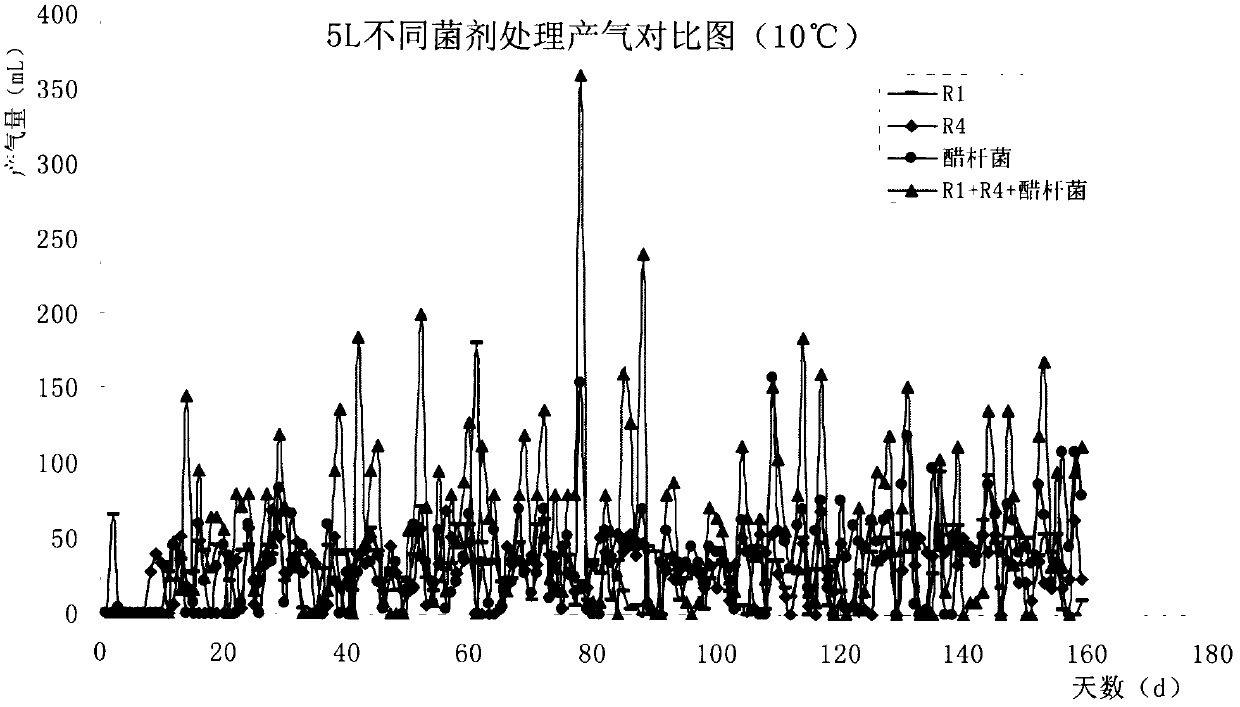 Complex microbial agent for low-temperature methane fermentation and preparation method thereof