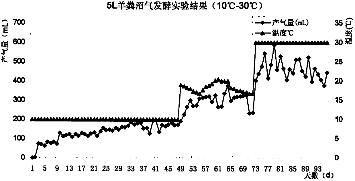 Complex microbial agent for low-temperature methane fermentation and preparation method thereof