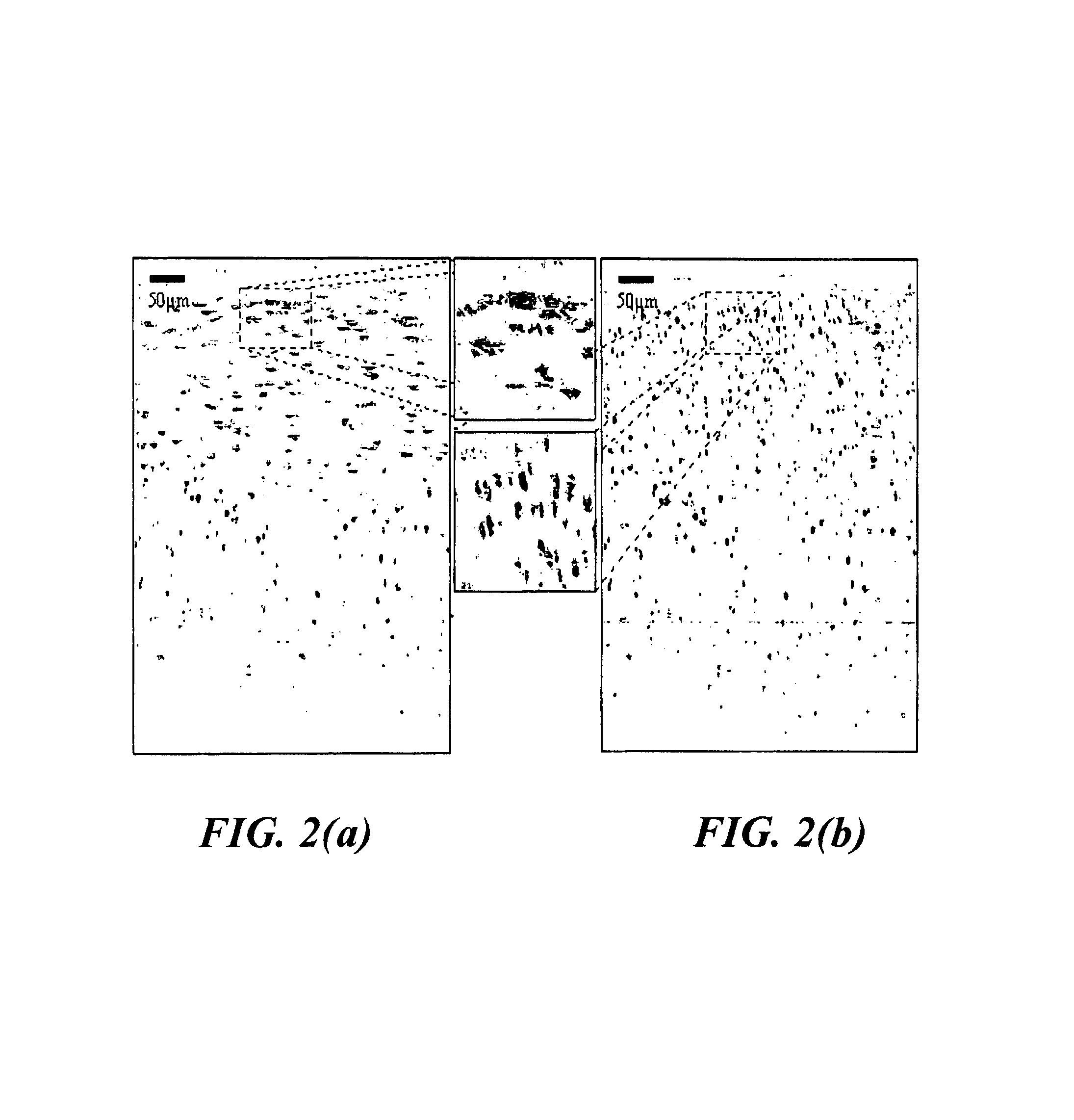 Interferometric synthetic aperture microscopy