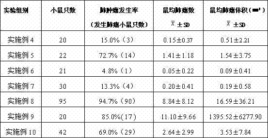 Dietary supplement for preventing lung cancer and preparation method thereof