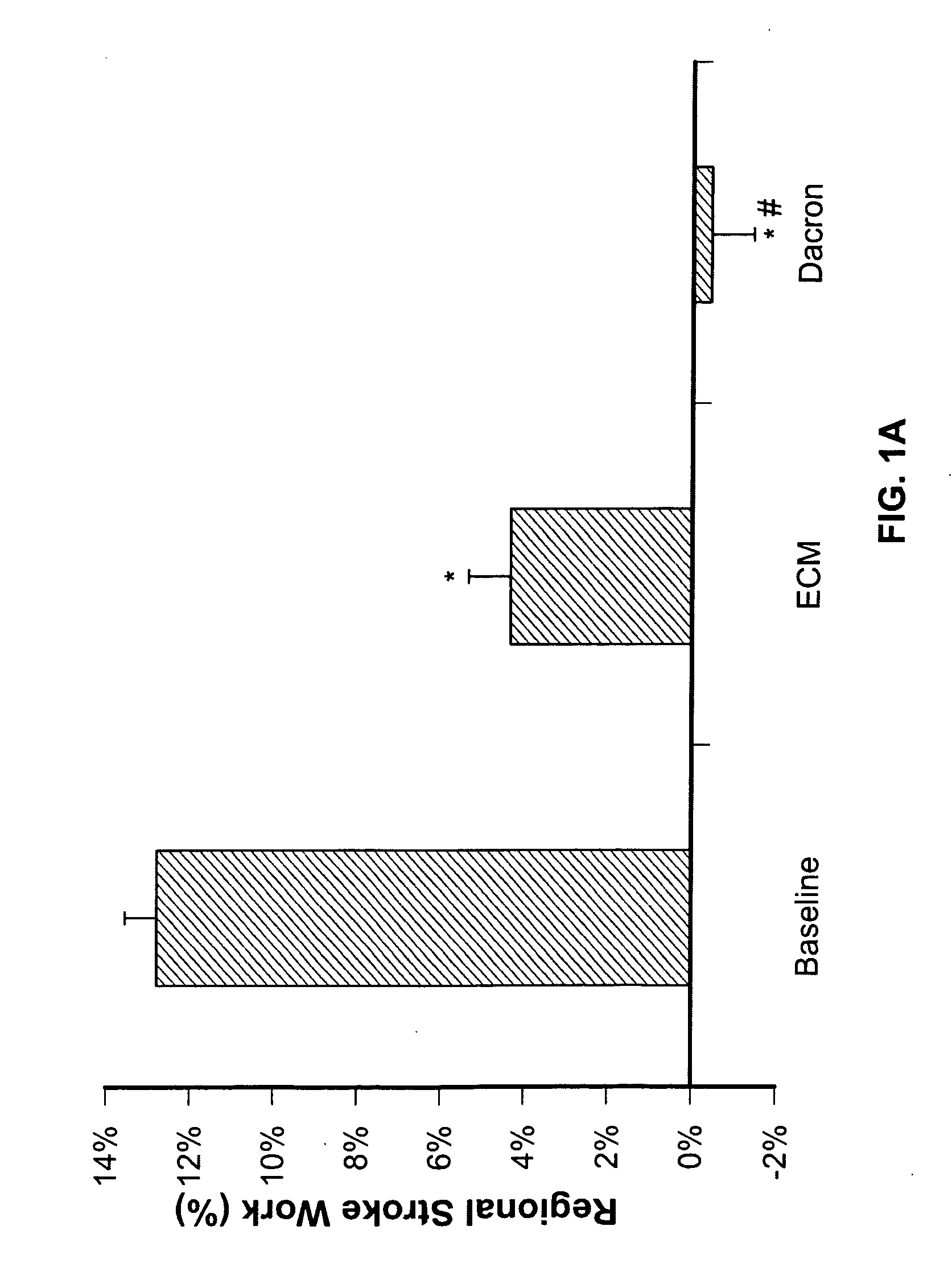 Use of human stem cells and/or factors they produce to promote adult mammalian cardiac repair through cardiomyocyte cell division