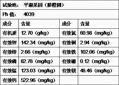 Biological organic fertilizer applied to Gannan red and yellow soil region and preparation method thereof