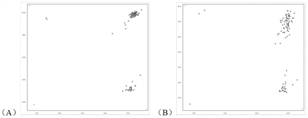 Screening method of gene editing site homozygote without transgenosis