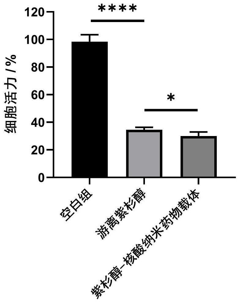 Nucleic acid nano-drug carrier as well as preparation method and application thereof