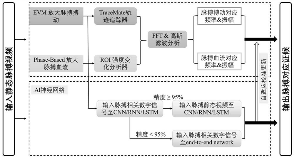 Pulse diagnosis analyzer based on Euler-phase transformation video amplification technology