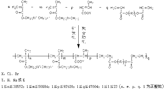 Water-solubility organic amphoteric polymeric flocculant and preparation method thereof