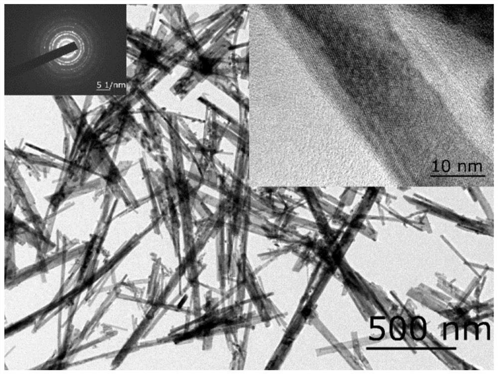 Preparation method of carbon fiber/rare earth oxide nanowire mixed reinforcement, as well as obtained material and application of carbon fiber/rare earth oxide nanowire mixed reinforcement