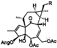 Antineoplastic medicine composition and application thereof