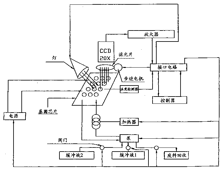 Device and method for detecting gene sequence