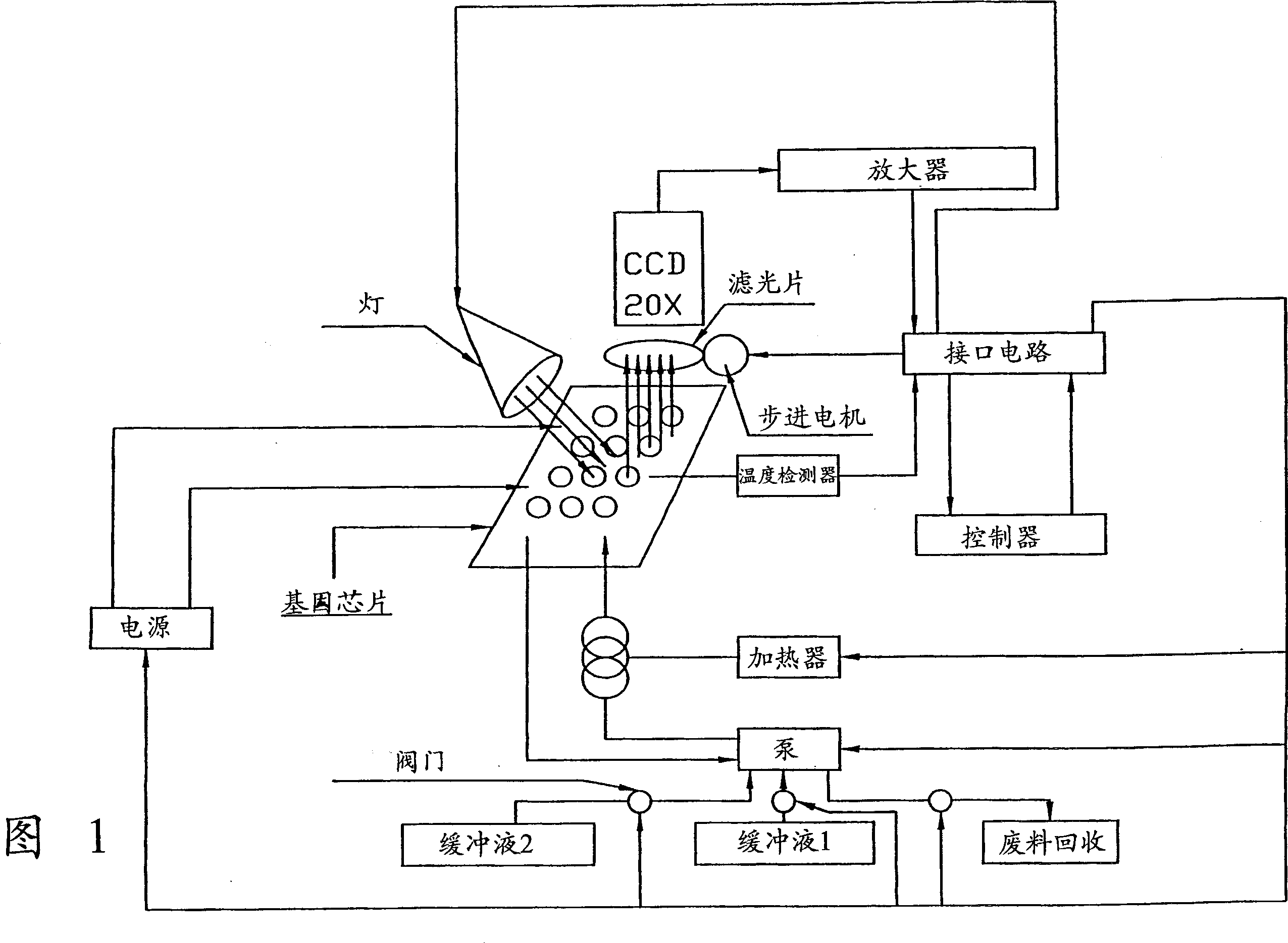 Device and method for detecting gene sequence