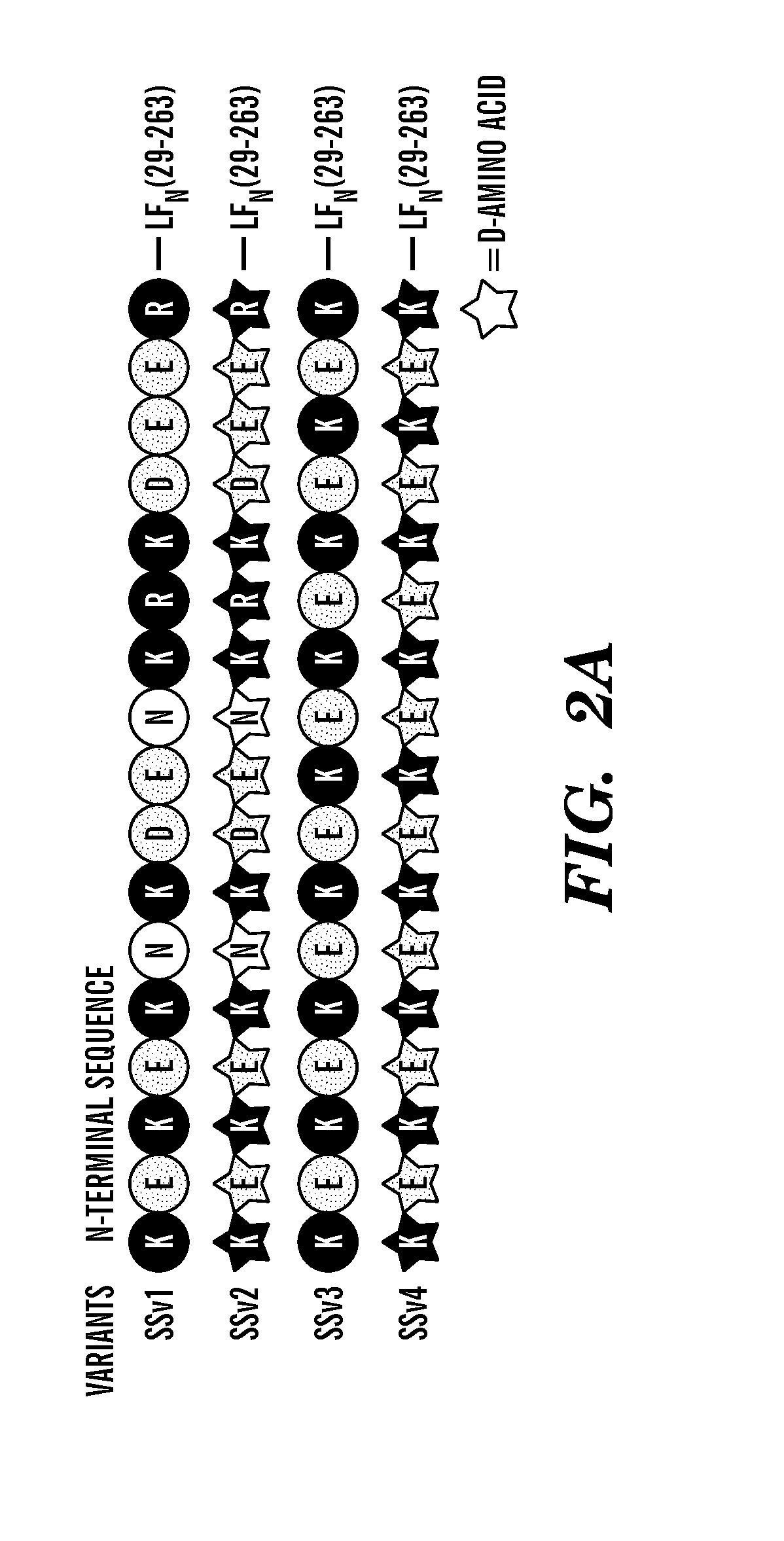 Method for delivering agents into cells using bacterial toxins