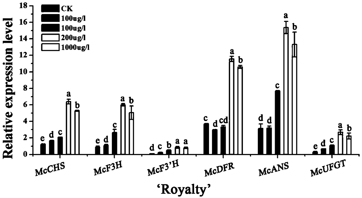 Method for promoting accumulation of flavonoid substances of ornamental Chinese flowering crabapple leaf tissues