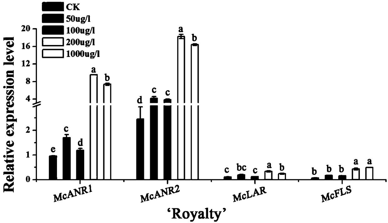 Method for promoting accumulation of flavonoid substances of ornamental Chinese flowering crabapple leaf tissues