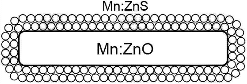Core-shell Mn:ZnO/Mn:ZnS diluted magnetic semiconductor heterogenous nano material and preparation method thereof