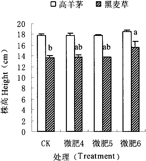 Method for enhancing drought resistance of lawn by adopting fine garbage compost leaching solution