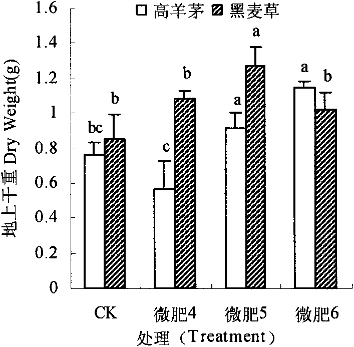 Method for enhancing drought resistance of lawn by adopting fine garbage compost leaching solution