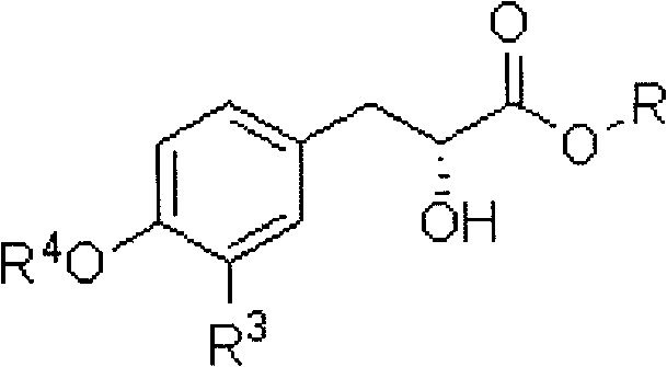 Preparation method of 3-aryl lactic acid derivatives