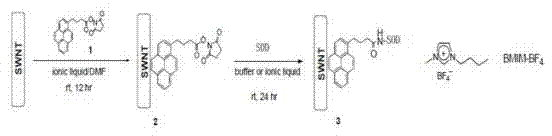 Immobilization method of proteinase molecule by using nano-material and application thereof