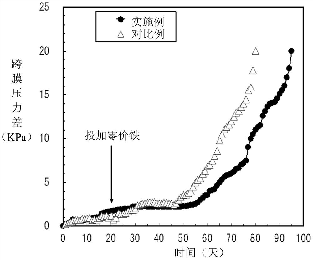 Anaerobic membrane bioreactor and its application in sewage treatment