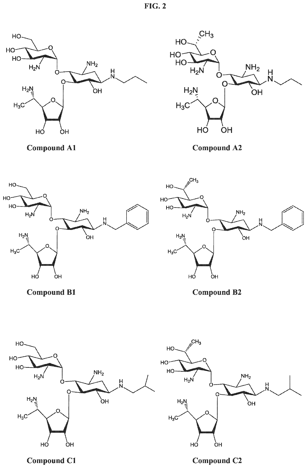 Aminoglycoside derivatives and uses thereof in treating genetic disorders