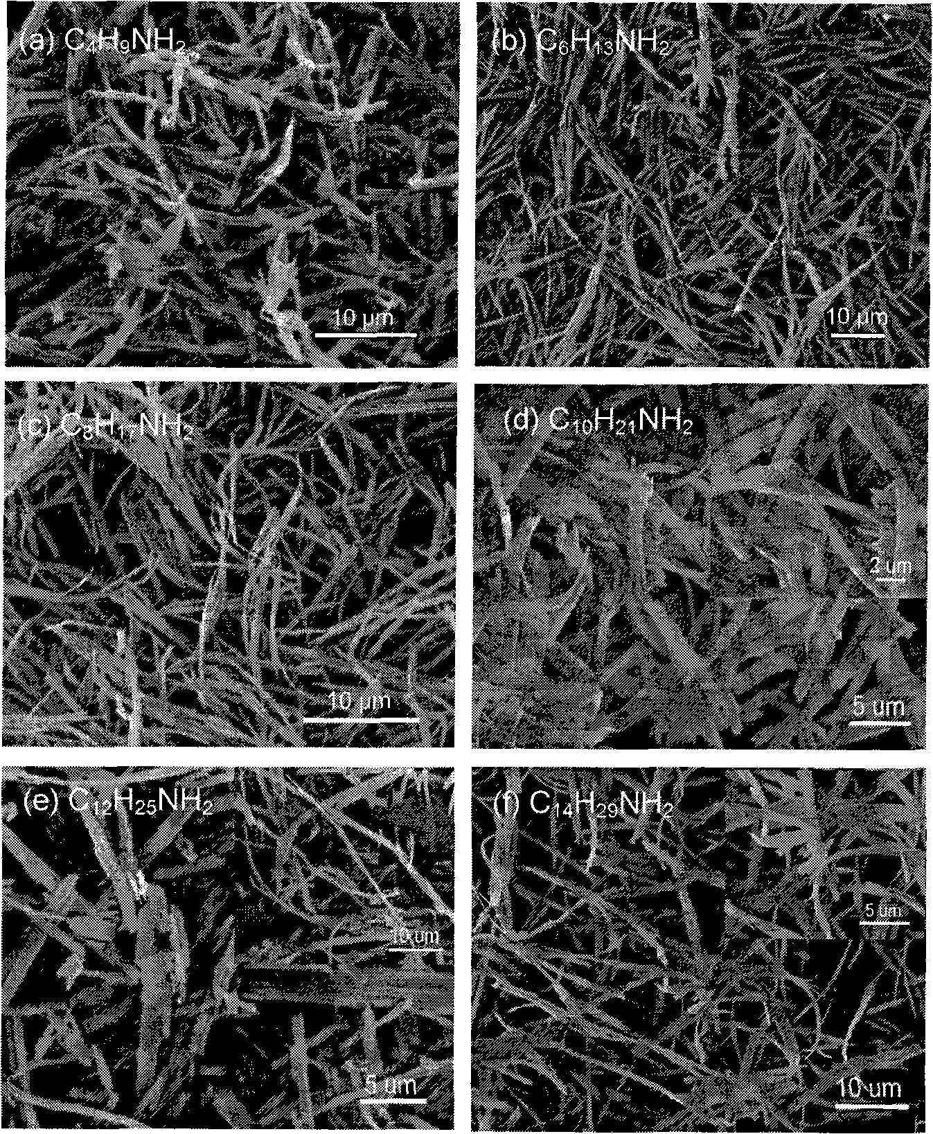 Tungstic trioxide nano-slice and preparation method thereof