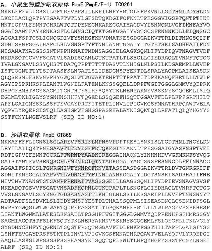 Chlamydia antigen compositions and uses thereof