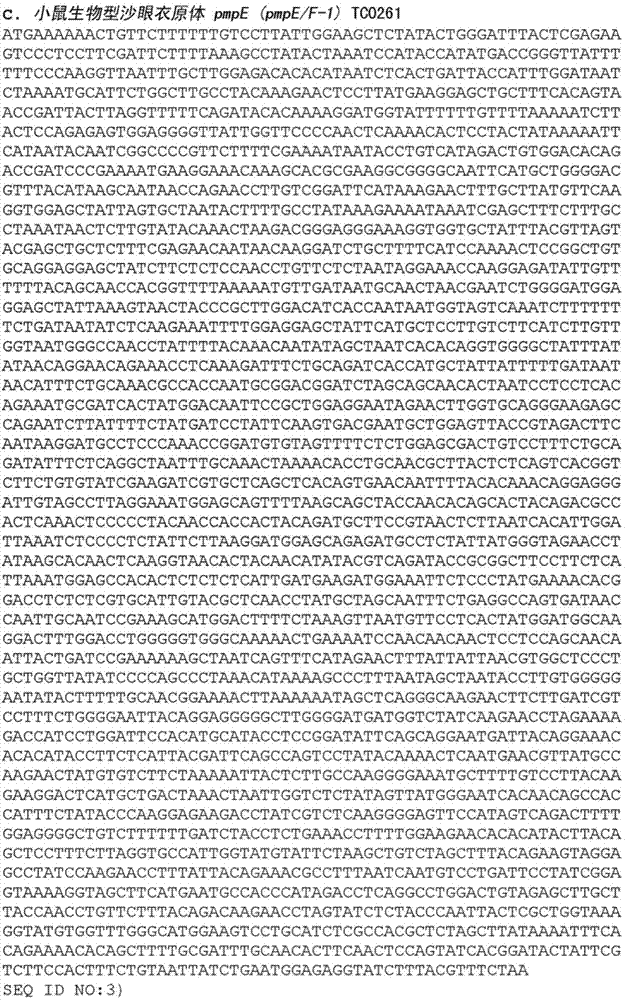 Chlamydia antigen compositions and uses thereof