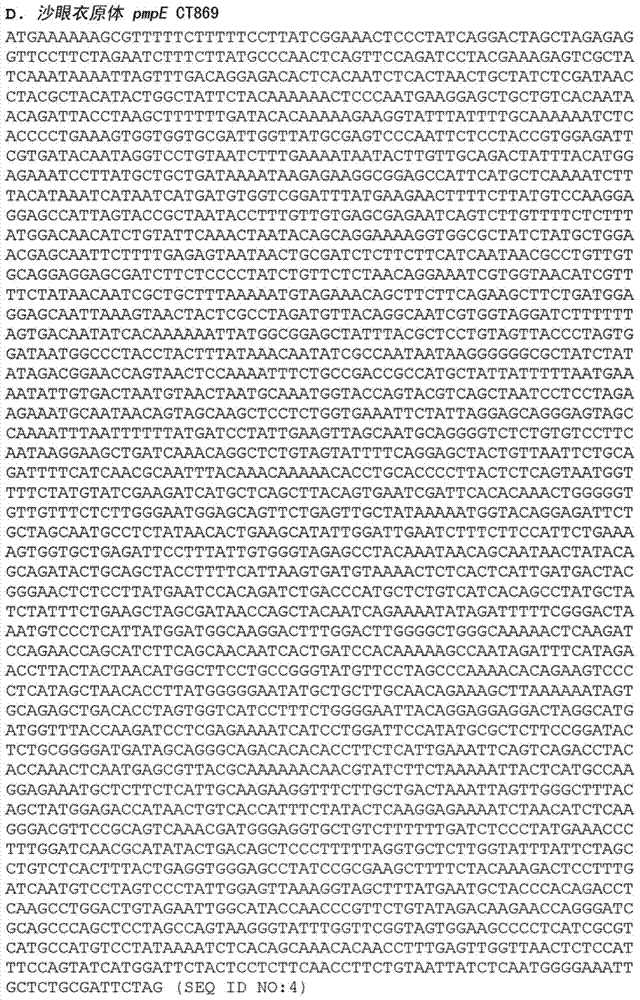 Chlamydia antigen compositions and uses thereof