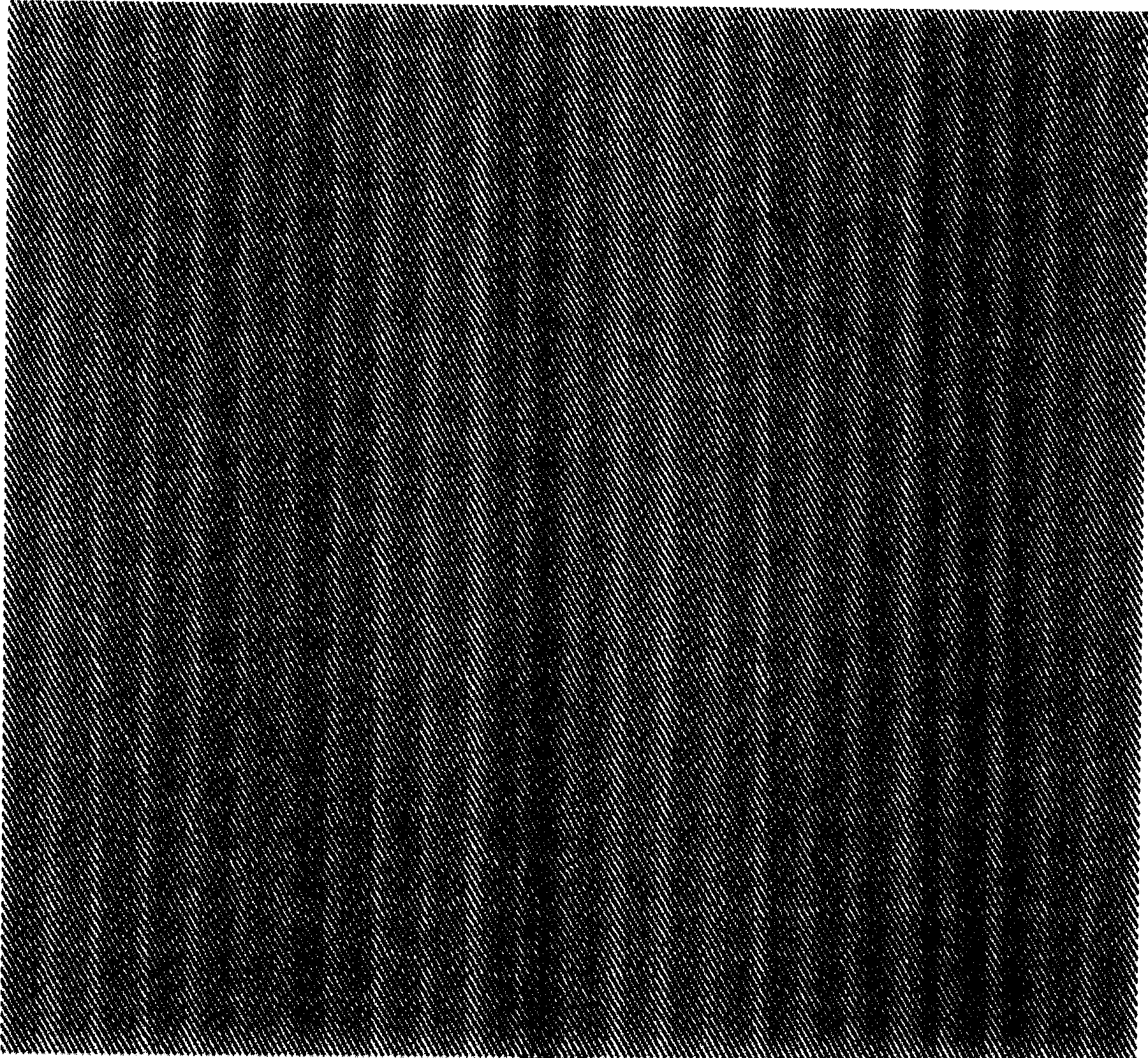 Method for abstracting graph and text infromation utilizing half-hue image networking hiding