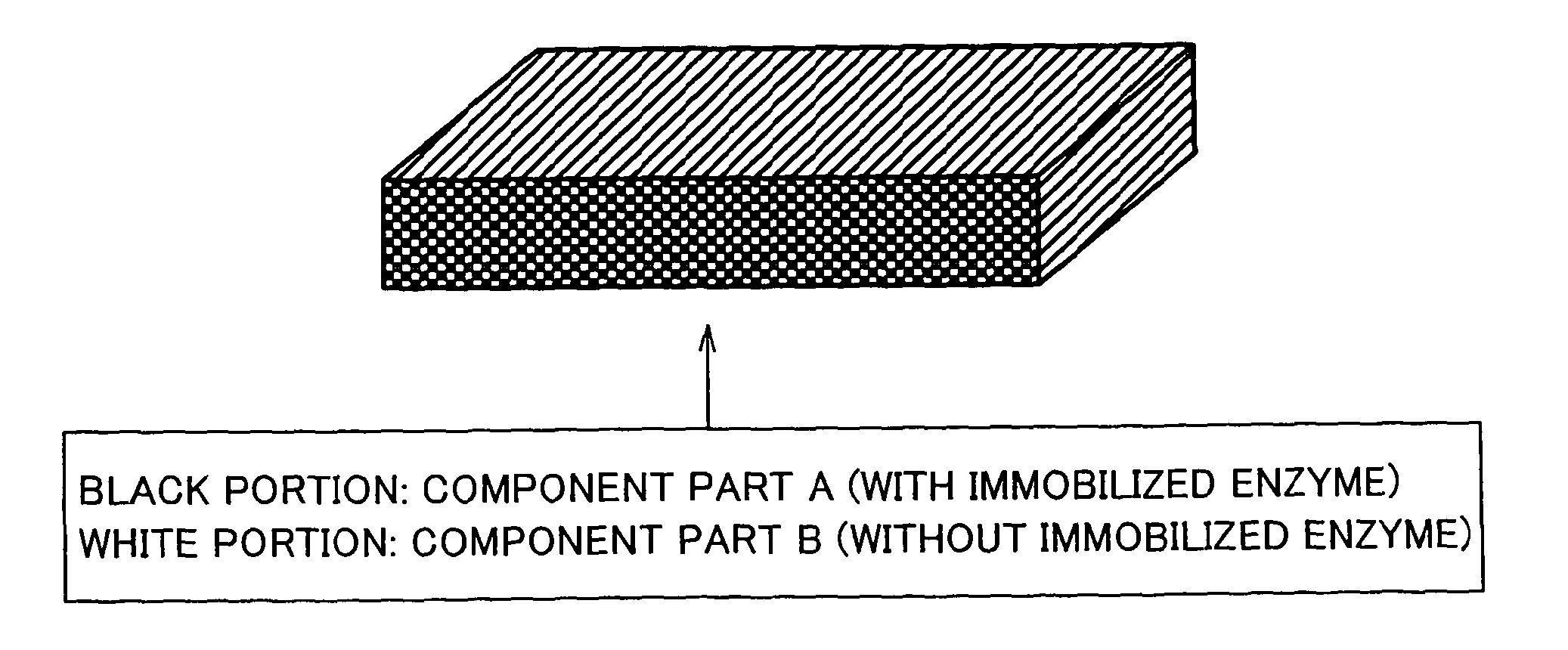 Enzyme electrode, and bio fuel cell equipped therewith