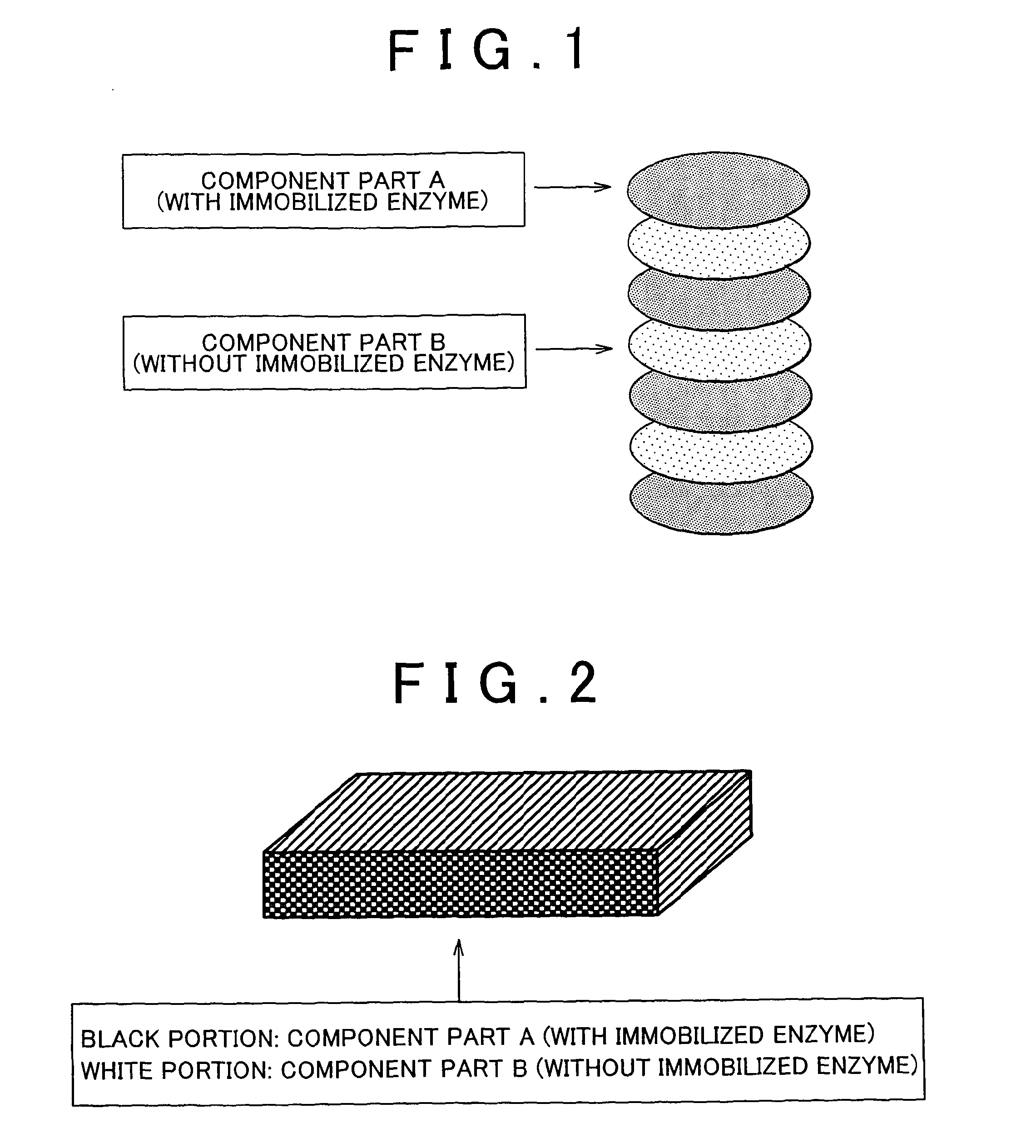 Enzyme electrode, and bio fuel cell equipped therewith