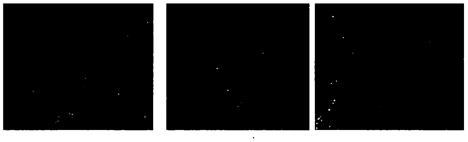 Method for producing inactivated vaccine of H9N2 subtype of avian influenza virus and product of inactivated vaccine