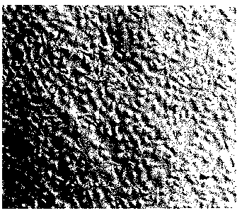 Low-serum culture medium suitable for growth of Vero cells