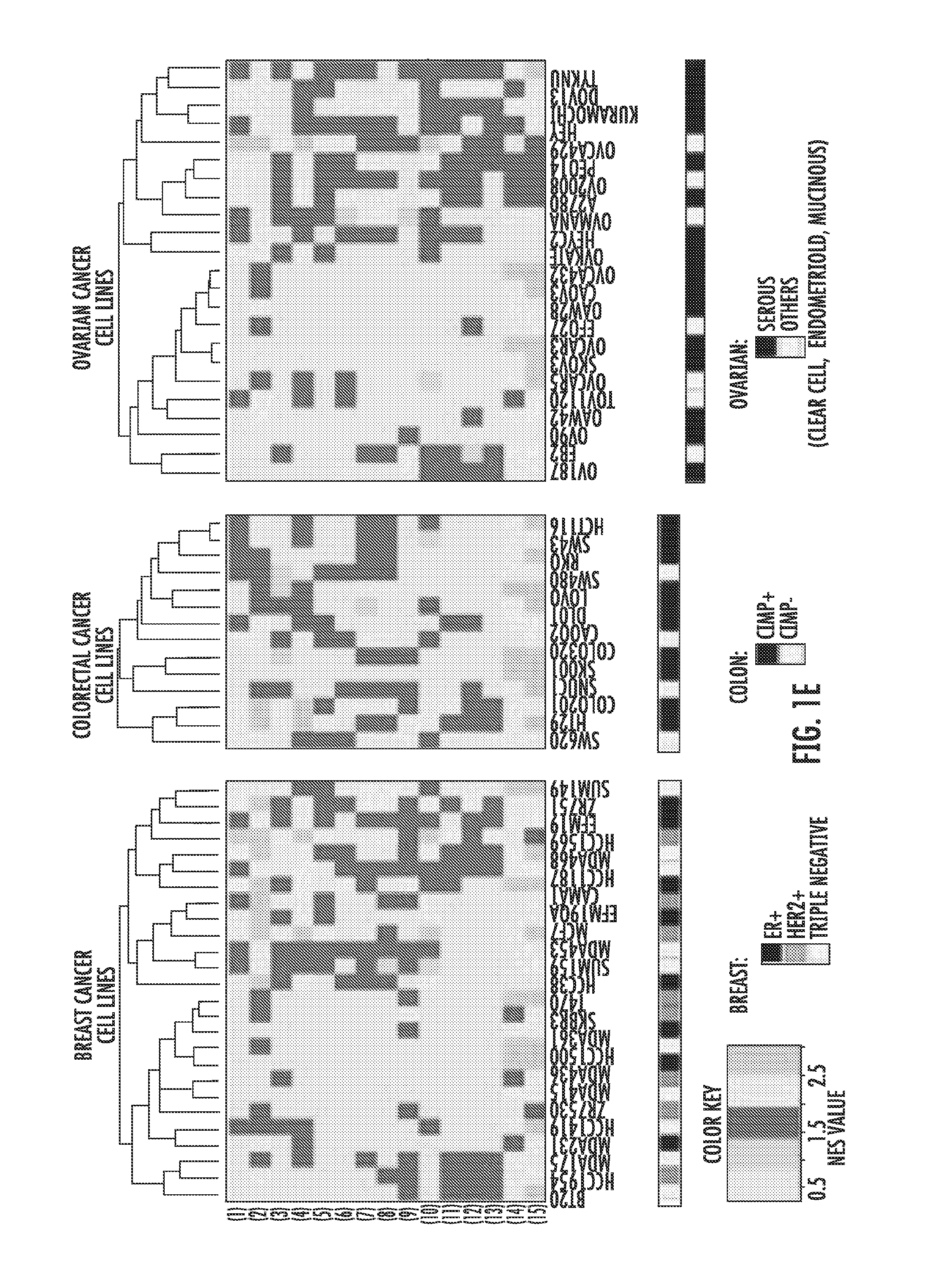 Predicting response to epigenetic drug therapy