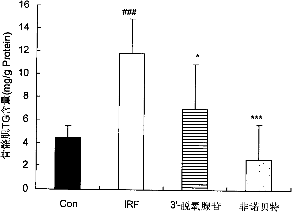 Application of 3'-deoxyadenosine in reducing weight, enhancing insulin sensitivity and improving lipid metabolism