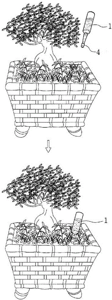 Cap for plant nutrient container