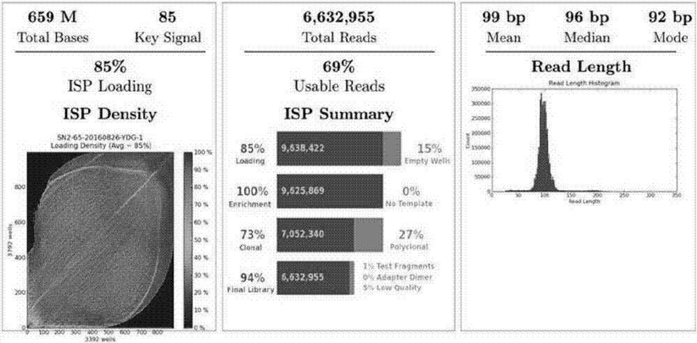 Constructing method of maternal plasma free DNA library and typing method of parental alleles